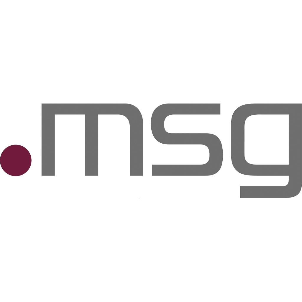 https://leansourcing.dev/wp-content/uploads/2023/04/msg-LOGO.jpg